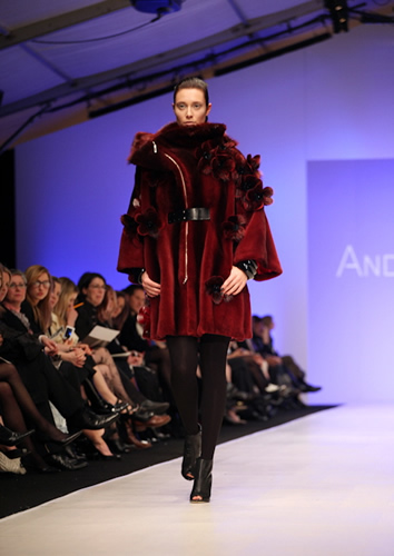 Andy The Ahn 10